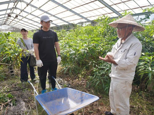 島の農家さんの生き方からも、学ぶことは多いはず