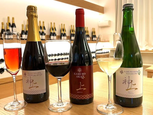 2022年に始まったワイナリープロジェクト。新しい挑戦もたくさん生まれています。