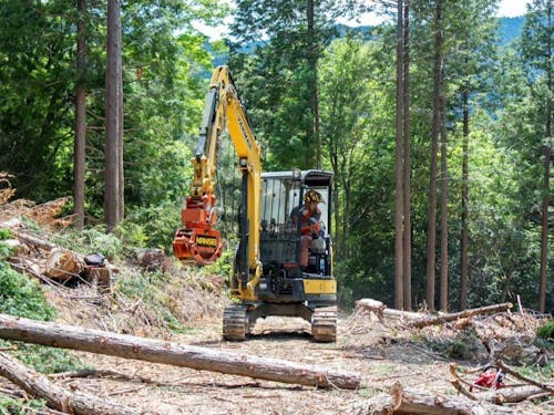 チェーンソーで切った木をバックホーで集めます。マイペースにやれるのが自伐の良さ