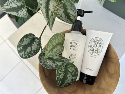 汗もニオイも、すっきりオフ。家族で使いたい「薬用ボディソープ」