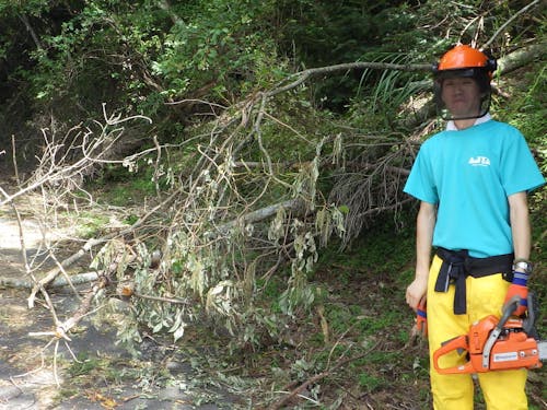 チェーンソーの扱いを覚えるために、台風の際の倒木処理に参加。