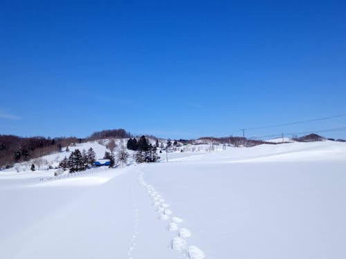 畑が眠る冬、私たちも長期休暇です