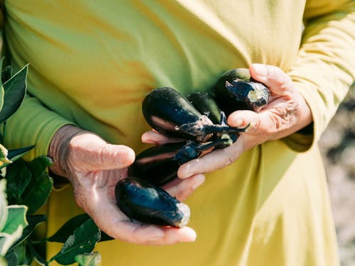 はんちゃんのナス