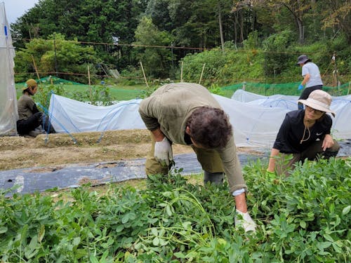「楽しく・深く・対話型」で学ぶ