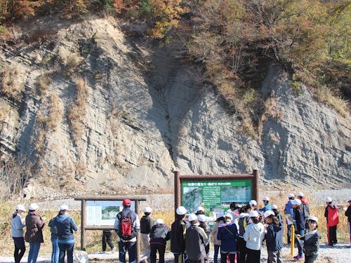 「古秩父湾」深海時代の地層を間近で