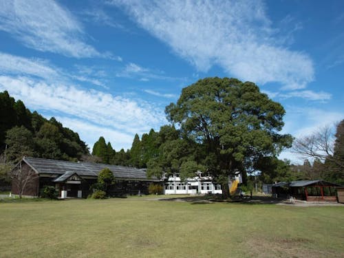 リバーバンク森の学校