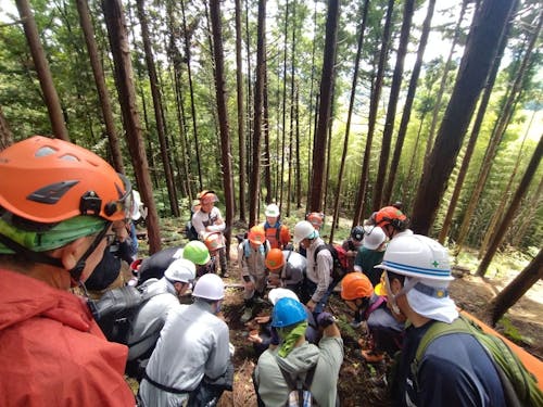 自伐型林業体験研修