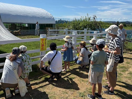 羊を見学する地域の子供たち