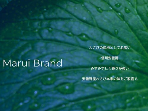 Marui Brand