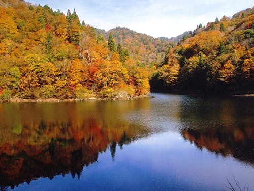 三滝ダム(智頭町芦津)周辺の紅葉