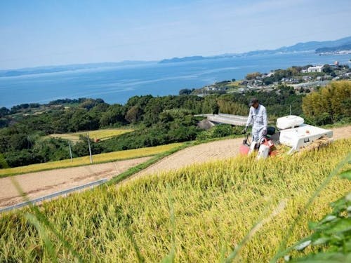 大村湾がのぞめる田園風景が広がる ©くじらの髭