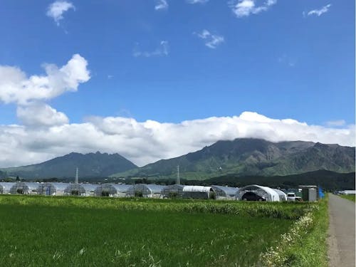 農園から見える風景