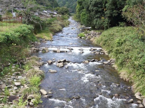 近くに流れる阿瀬川の清流