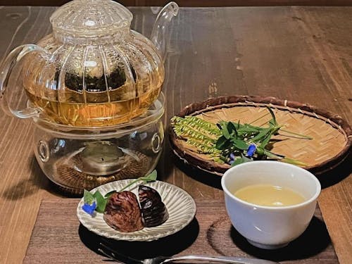 日々の暮らしの中で発見が増える、大人も子どもも一生ものの原体験をつくる野草教室