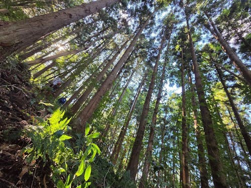 但野さんは、日々の風景を写真に収めます