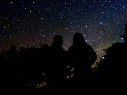 我が家の庭から見える星空。何度見ても感動します。