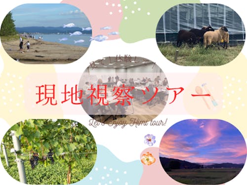 現地視察ツアー