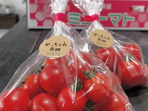 「がっちゃん農園」ブランド