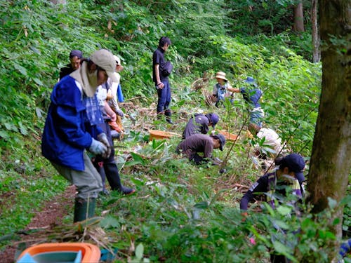 それぞれ手分けして作業