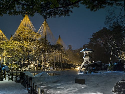 兼六園 冬のライトアップ