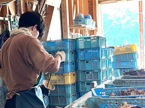 過去の仕事体験の様子②