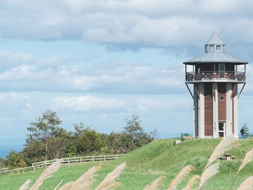 のどかでのんびりとできる自然がたくさんあるのが八雲の特徴です!