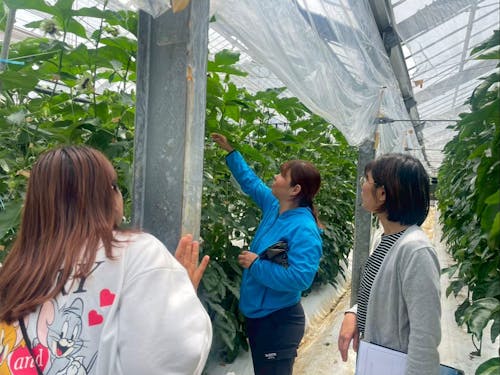 新規就農希望者に向けた、パッションフルーツ農家の圃場見学の様子