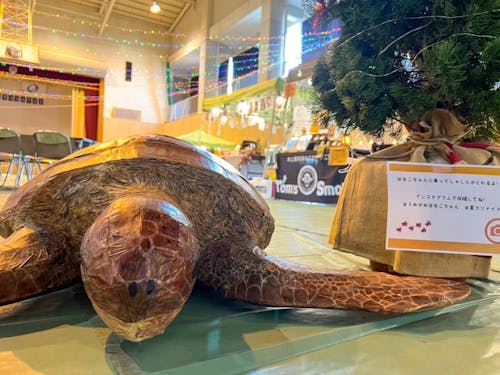 小学校跡地を活用したクリスマスイベントの様子。今年も実施に向けて準備中!