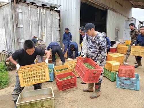 コンテナは手の力ではなく屈伸をしながら持ち上げます