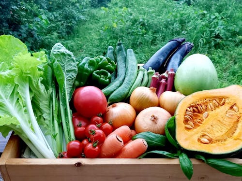 採れない野菜はないと言っていいほど多くの野菜が生産されています。