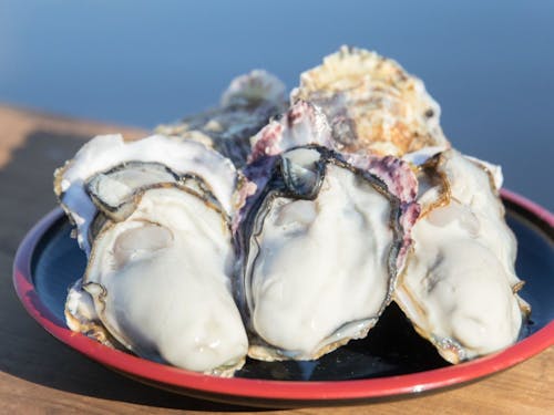 冬の味覚・牡蠣