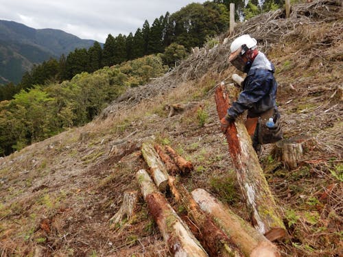 木を切るだけでなく、下刈りに地拵え、植林など、山に関する多くの仕事があります