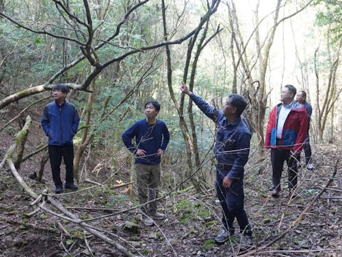 山へ入ってフィールドワークも行います(写真は現地調査の様子)