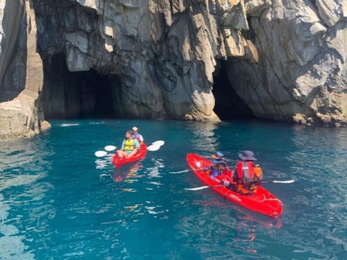 自然体験コンテンツも注目を集めています