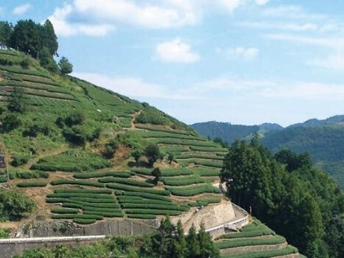 美しい里山で暮らすのもいいなあ♪