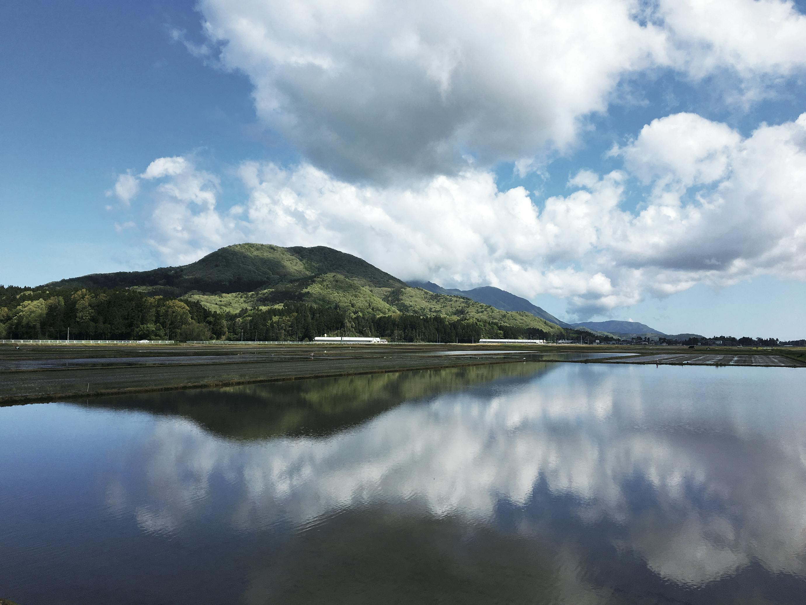 令和7年度の燕市夏まつりが始まります！(新潟県燕市) | 地域と