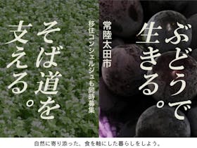 ぶどう愛が止まらない そば好きにはタマラナイ 派手さはいらない つくり手 候補を探しています 移住スカウトサービス