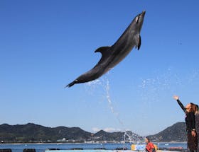 6114