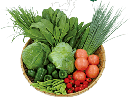 栄養たっぷりな有機野菜が豊富にあります。