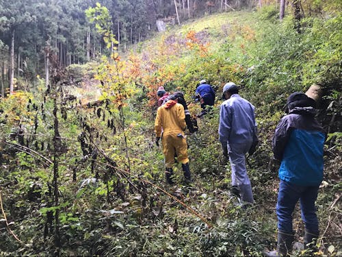 昨年、山の中の草刈り体験をした様子