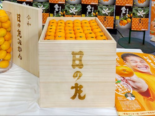 2020年東京大田市場の初競りで、100万円で落札された八幡浜産みかん