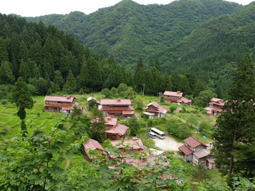 学生時代から地域に関わる