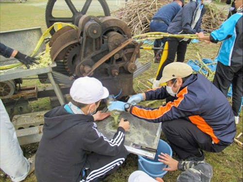 自分たちで育てたサトウキビで黒糖づくり体験