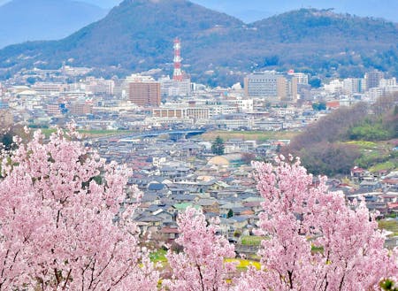 福島市の観光名所「花見山」から見える市街地。