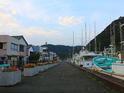 漁師町での暮らしを体験