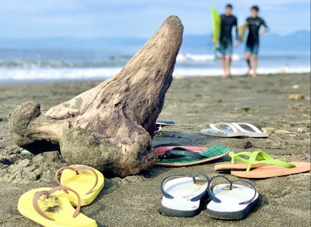 砂浜に置かれたビーサンたち