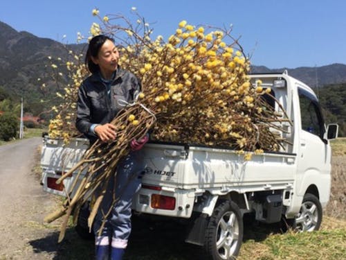 ゲストの船瀬さん:和紙の原料の収穫もご自身で行っています
