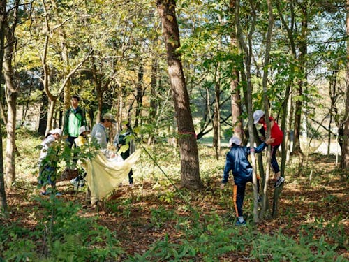 森の中で過ごす日常