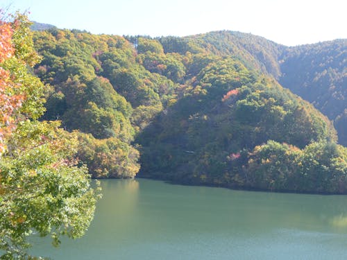 紅葉が美しいもみじ湖