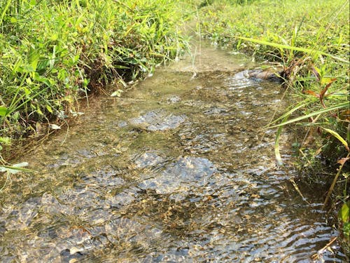 伊吹山の山麓、琵琶湖に注ぐ姉川源流